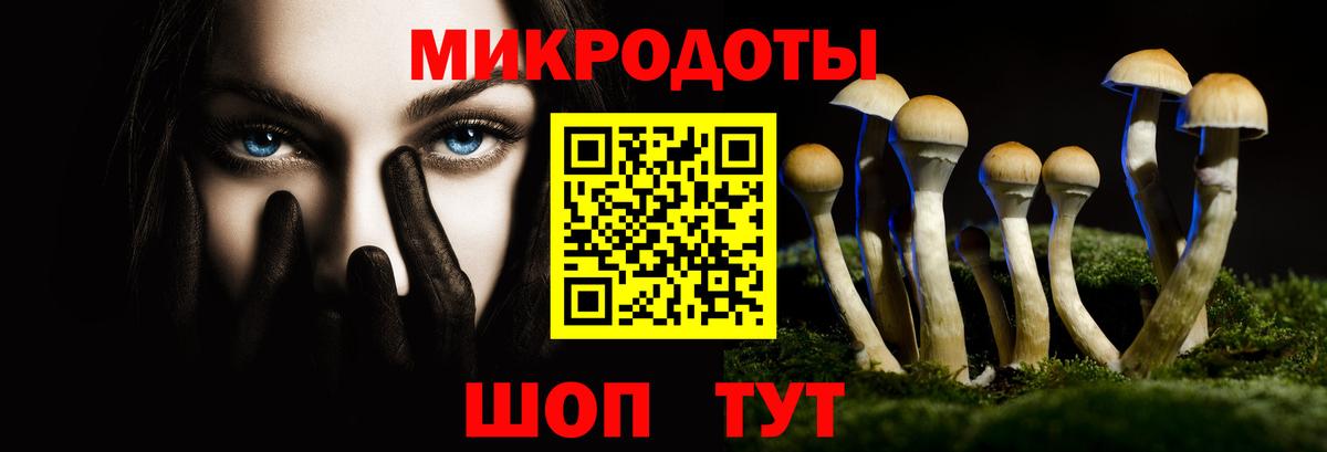 Таганрог  магазин    Вход с VPN  Галлюциногенные грибы Psilocybine cubensis 